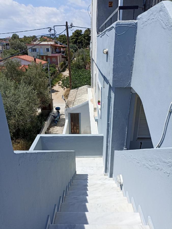 ארטמידה Seven Seas Apartments מראה חיצוני תמונה